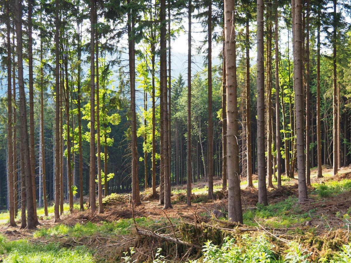 Apartmán NA SVAHU 3+KK, Dolní Morava Exteriér fotografie